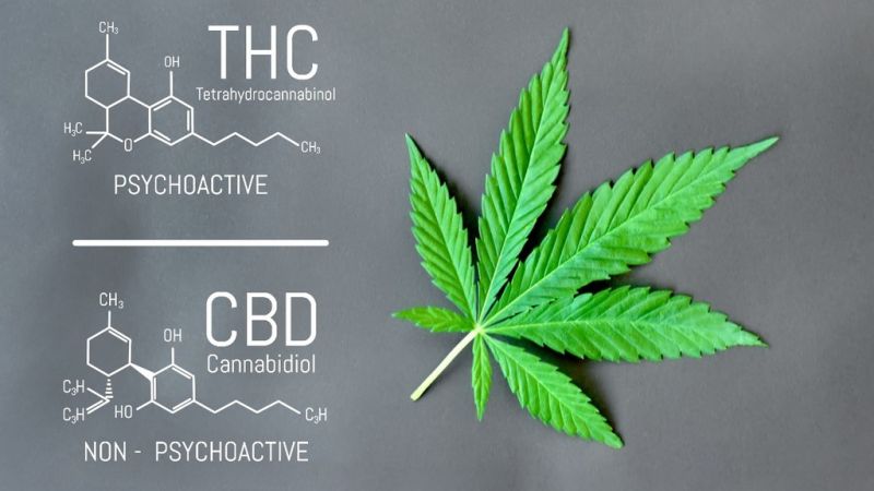 What and How big is CBD Industry?